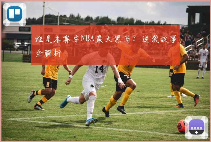 谁是本赛季NBA最大黑马？逆袭故事全解析