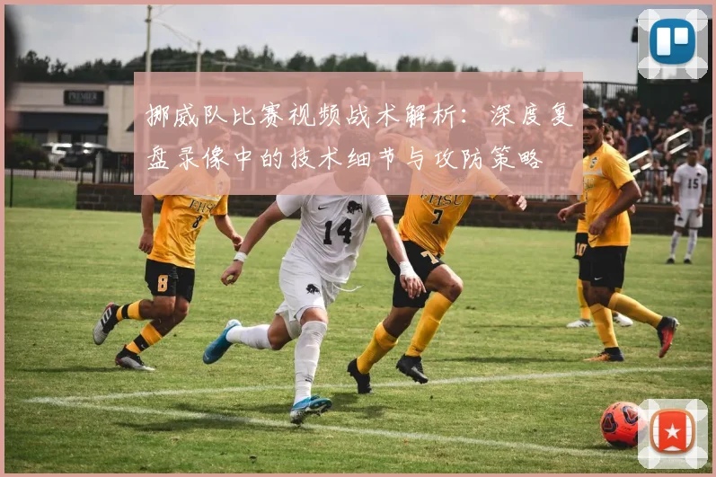 挪威队比赛视频战术解析：深度复盘录像中的技术细节与攻防策略